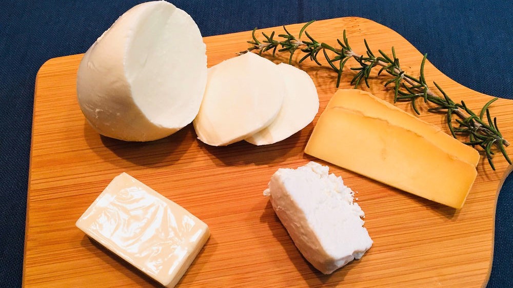 おうちで簡単チーズ作りに挑戦！チーズの世界をのぞいてみた