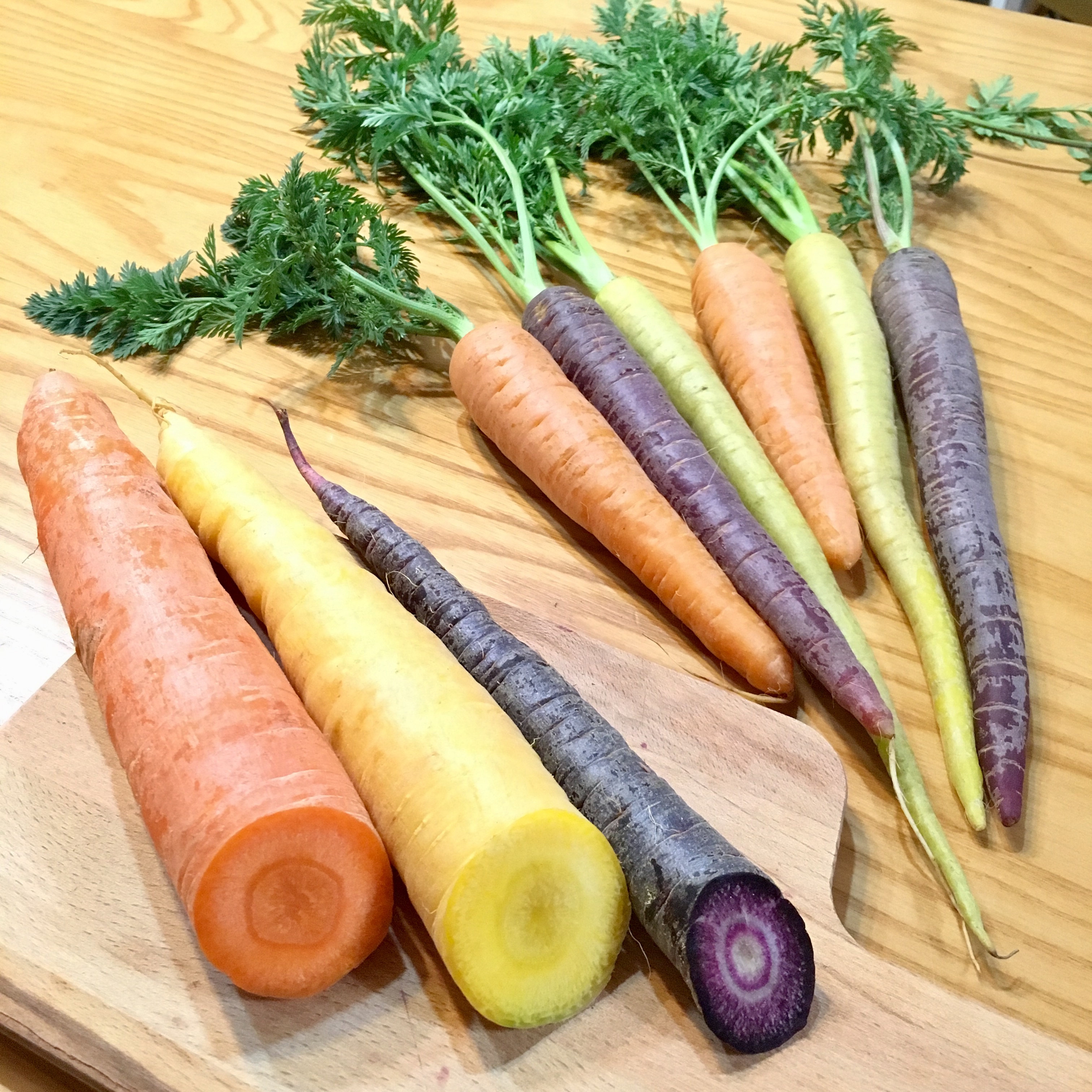 カラフル人参大解剖!!生食だけじゃもったいない!