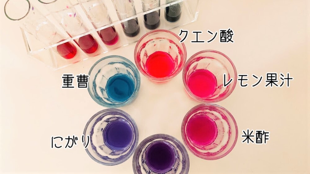 【夏休み自由研究】紫キャベツの色素アントシアニンで野菜の色実験をしよう！