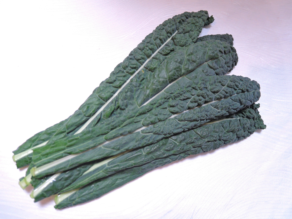 カーボロネロ(黒キャベツ) <野菜オタク> 野菜辞典 vol.20