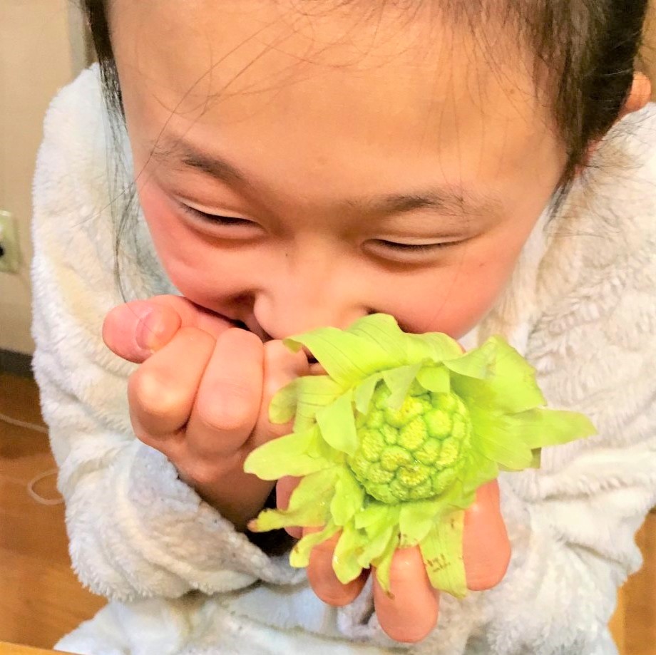 春の山菜♪おいしく食べる豆知識&下処理のコツ教えます!