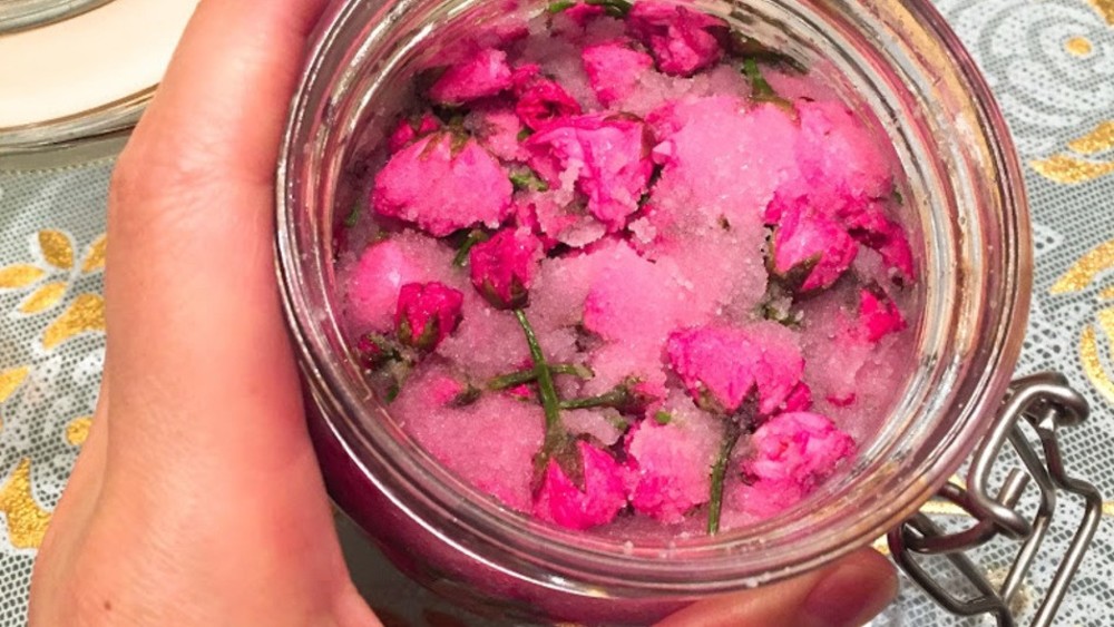春がフワッと香る桜湯を楽しもう！「桜の塩漬け」の作り方と保存方法研究