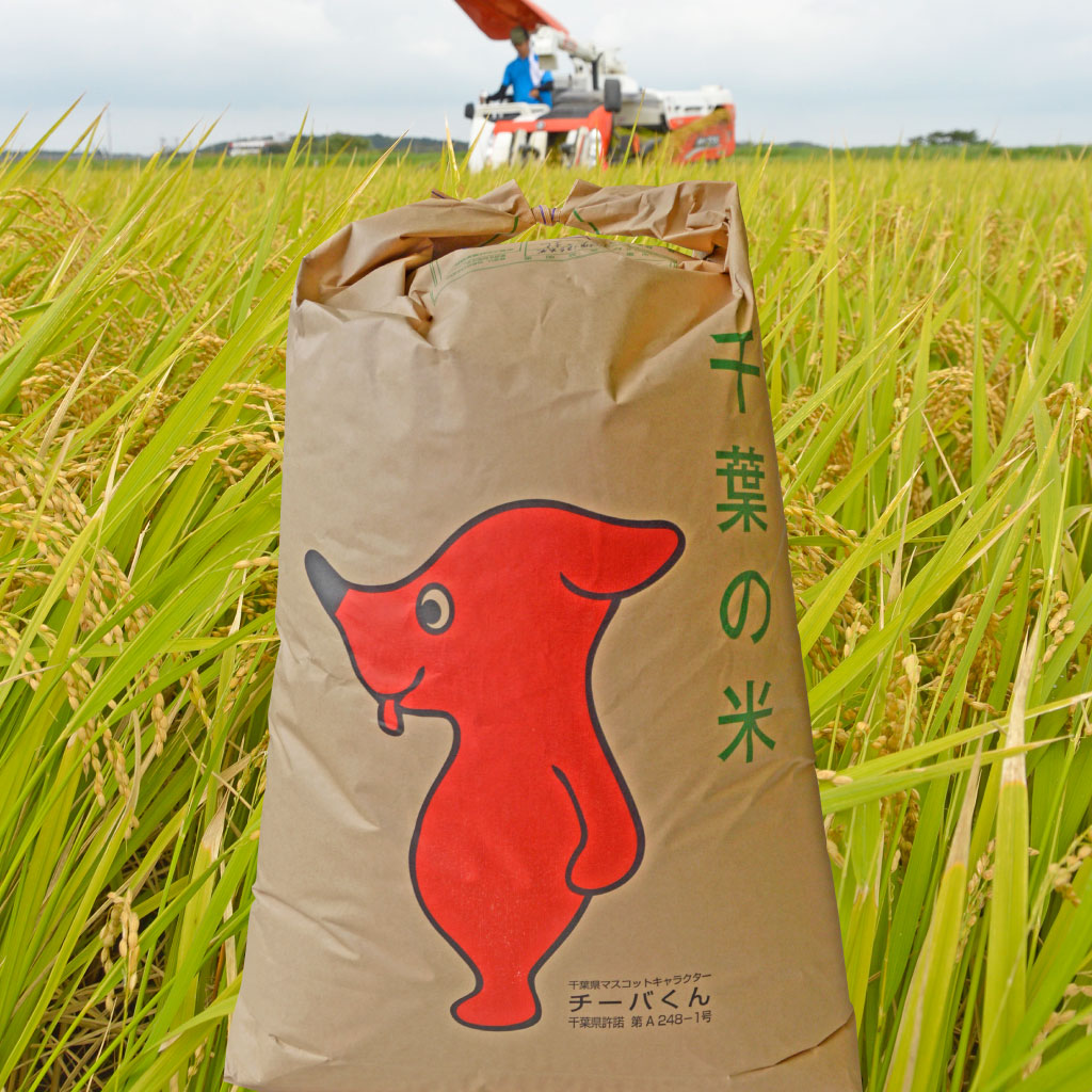 【お買いもの】＜ 新米100％ ＞<br>染谷さん家のおやこ米<br>（玄米 25kg）千葉県産 あきたこまち