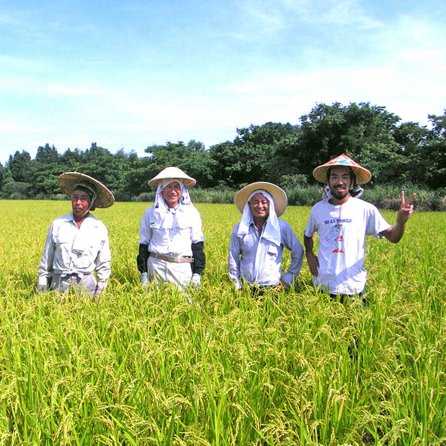 農薬・化学肥料・動物性肥料・除草剤一切不使用のお米づくり<b…