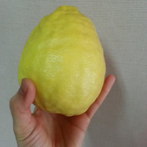 レモン2