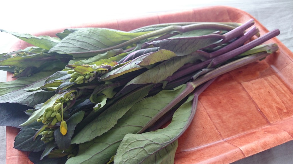 紫小松菜菜花