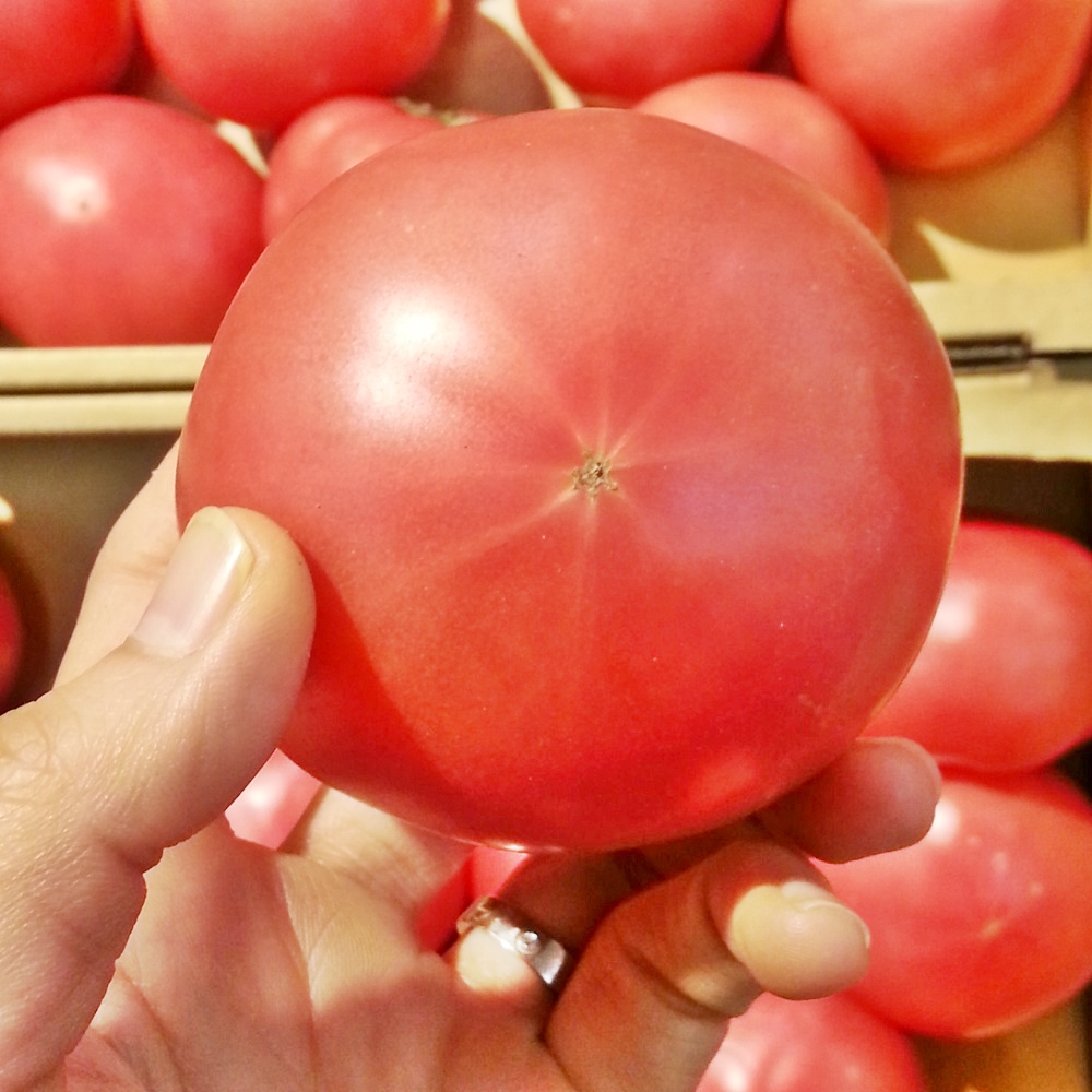 必見！トマトの選び方