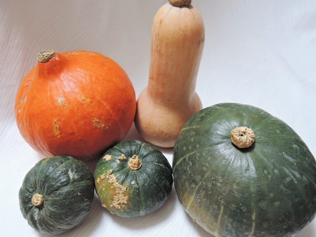 %e3%81%8b%e3%81%bc%e3%81%a1%e3%82%83%e3%81%84%e3%82%8d%e3%81%84%e3%82%8d