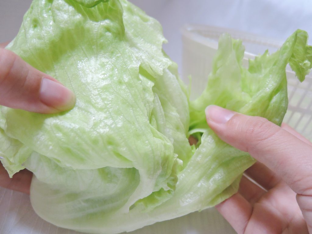 %e3%83%ac%e3%82%bf%e3%82%b9%ef%bc%92