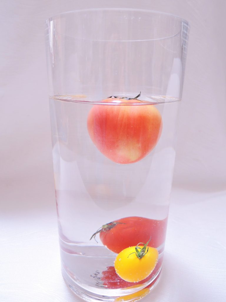 トマト 野菜オタク 野菜辞典 Vol 17 フードメッセンジャー 藤田 久美子 食オタmagazine 食のオタクによる食のオタクのためのマガジン 食オタマガジン