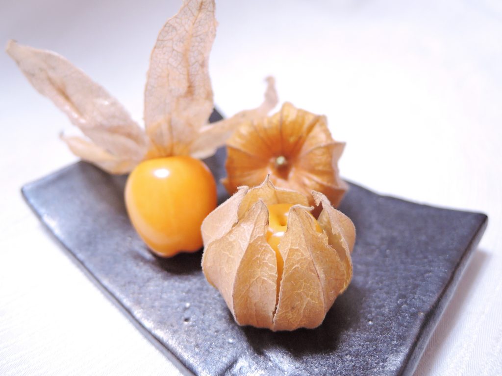 食用ほおずき 野菜オタク 野菜辞典 Vol 16 フードメッセンジャー 藤田 久美子 食オタmagazine 食のオタクによる食のオタクのためのマガジン 食オタマガジン