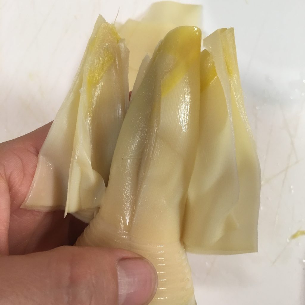 タケノコ食べたーい アクもエグミもこれで解決 大解剖 フードメッセンジャー 加野 有美 食オタmagazine 食のオタクによる食のオタクのためのマガジン 食オタマガジン