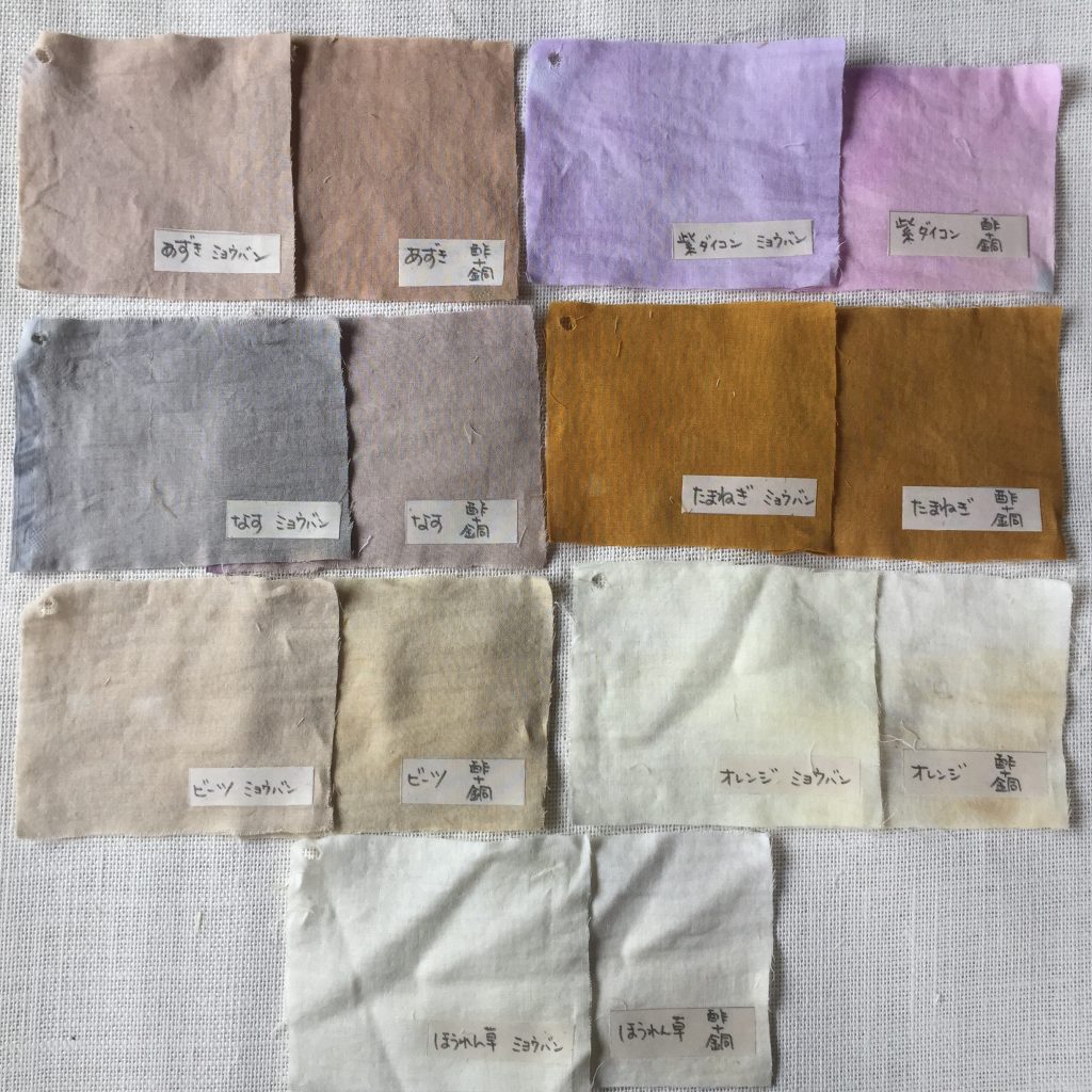 野菜で布を染めてみよう 野菜染め研究 フードメッセンジャー 増田 純代 食オタmagazine 食のオタクによる食のオタクのためのマガジン 食オタマガジン