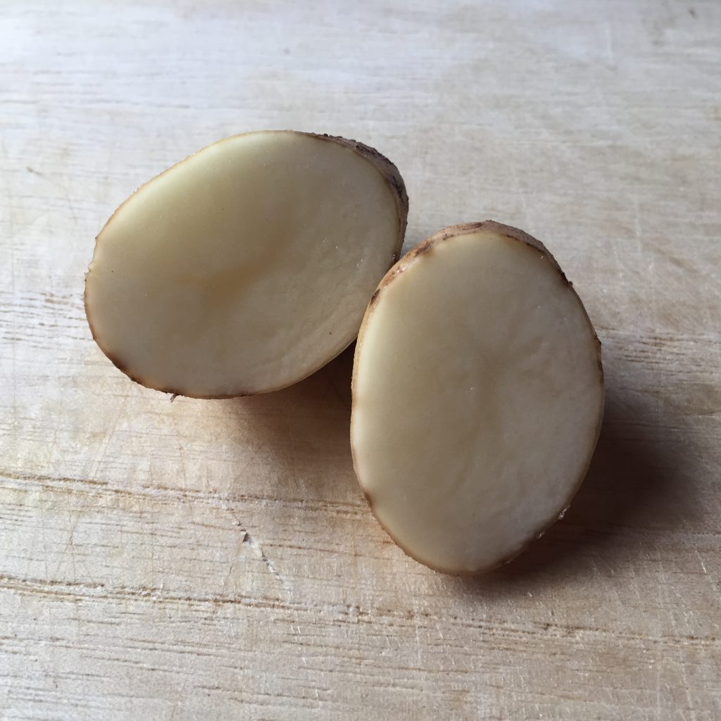 野菜の花で仲間さがし フードメッセンジャー 増田 純代 食オタmagazine 食のオタクによる食のオタクのためのマガジン 食オタマガジン