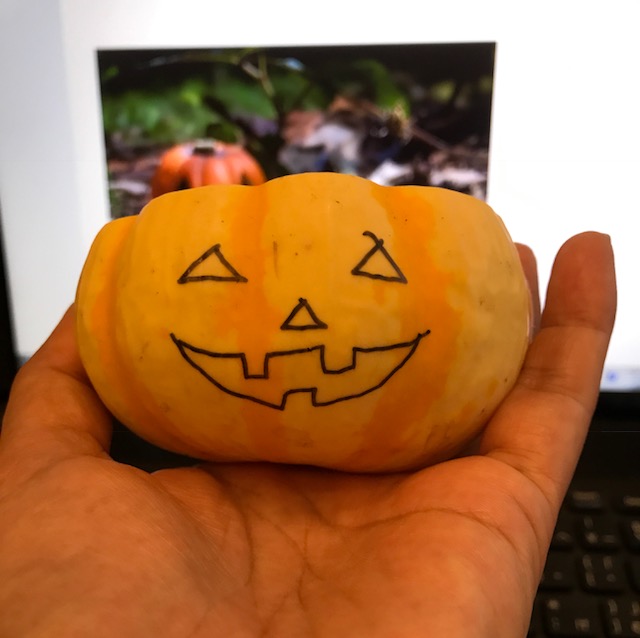 生かぼちゃでハロウィン ジャックオーランタン 作りに挑戦 フードメッセンジャー 田口 舞純 食オタmagazine 食のオタクによる食のオタクのためのマガジン 食オタマガジン