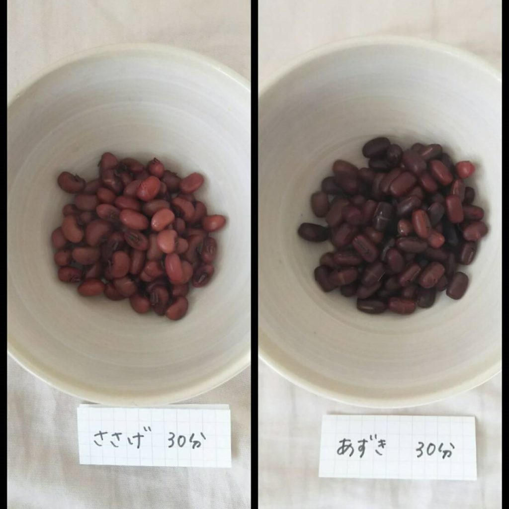 まぎらわしい野菜を区別しよう モヤモヤ整理 フードメッセンジャー 豊岡 加奈子 食オタmagazine 食のオタクによる食のオタクのためのマガジン 食オタマガジン