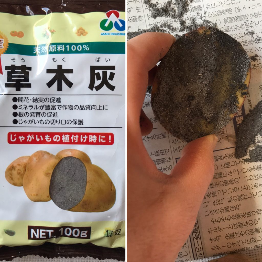 ジャガイモを育ててみよう プランター 袋でも栽培できるってホント フードメッセンジャー 増田 純代 食オタmagazine 食のオタクによる食のオタクのためのマガジン 食オタマガジン