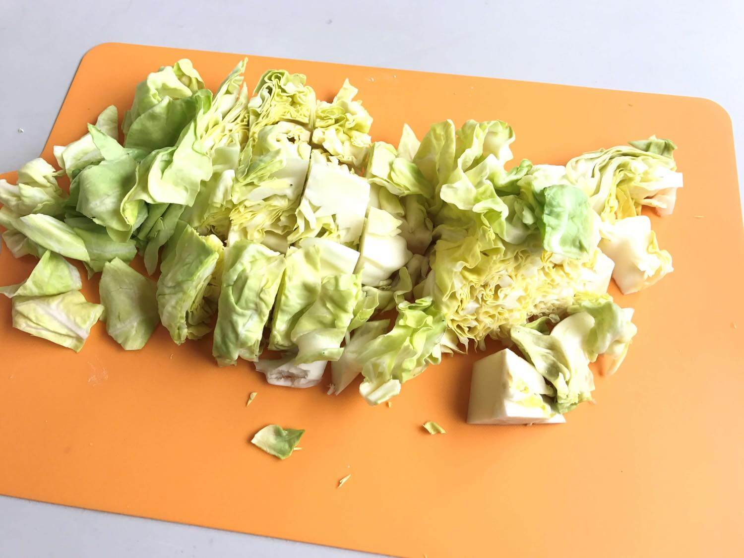 野菜で紙を作ってみよう フードメッセンジャー 佐藤 智子 食オタmagazine 食のオタクによる食のオタクのためのマガジン 食オタマガジン