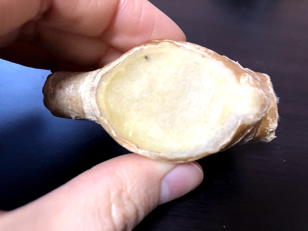 生姜のベストな保存方法は?!温度・湿度から長持ちする方法を検証してみた