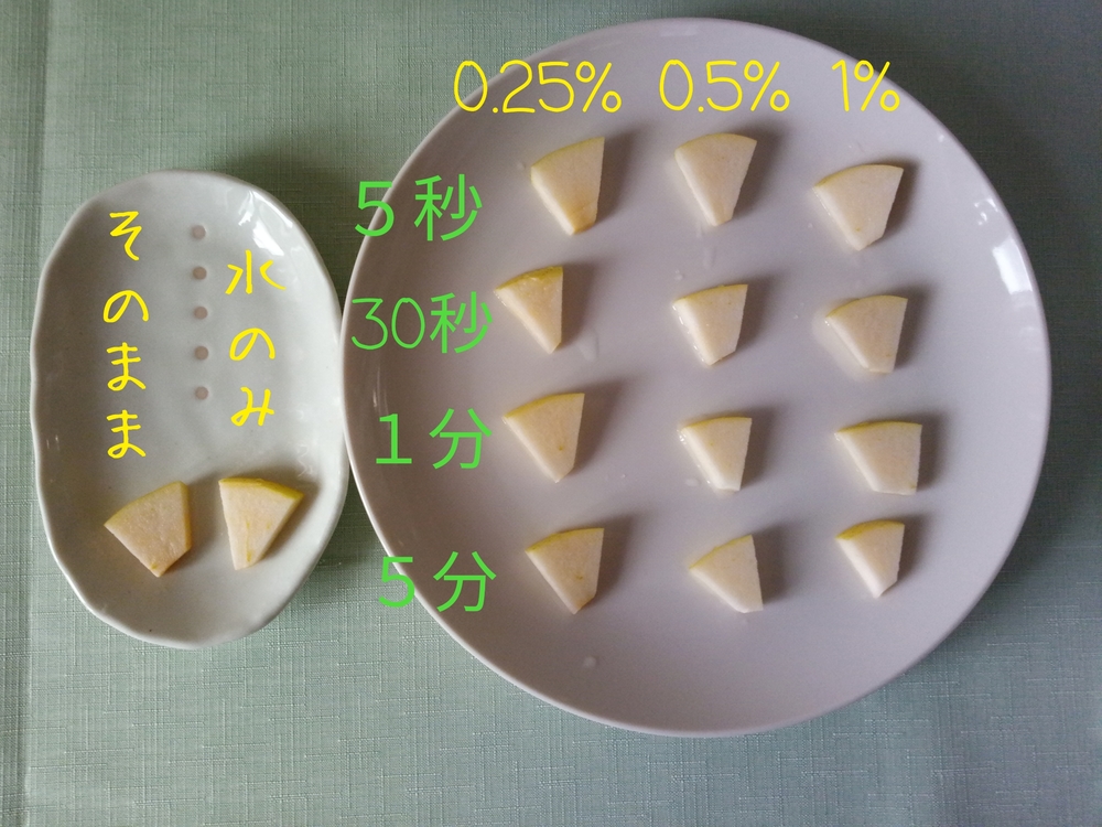 リンゴの変色を防ぐには 塩分濃度や漬ける時間を比べてみた フードメッセンジャー 豊岡 加奈子 食オタmagazine 食のオタクによる食のオタクのためのマガジン 食オタマガジン