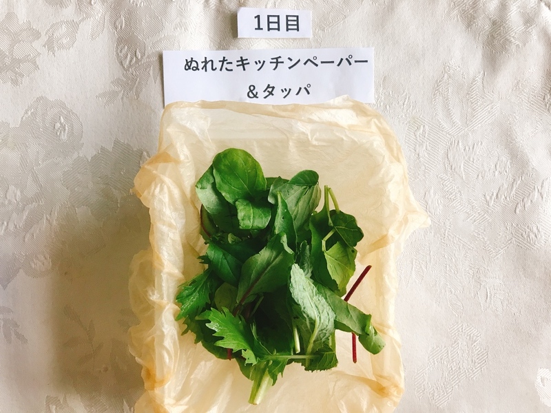 パーティにぴったり!エディブルフラワー&ハーブの上手な保存方法はコレ!3週間保存実験