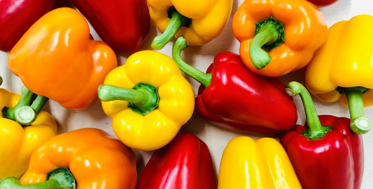 【食育マルシェ】初開催の企業さまで食育マルシェ講…