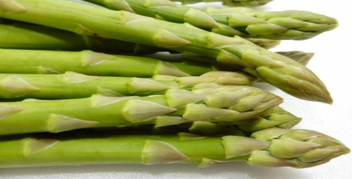 【食育マルシェ】オフィスで食育マルシェ講師のおし…