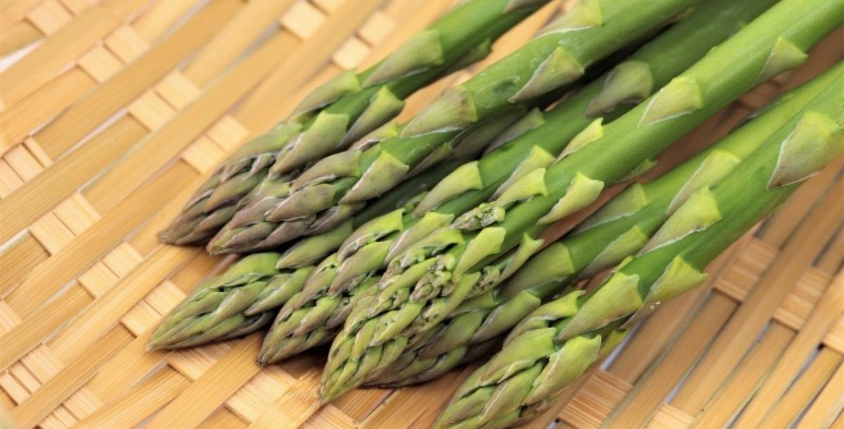 【食育マルシェ】オフィスで食育マルシェ講師のおし…