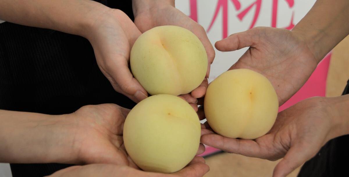 【おかやま応援隊】新宿高野で白桃PR