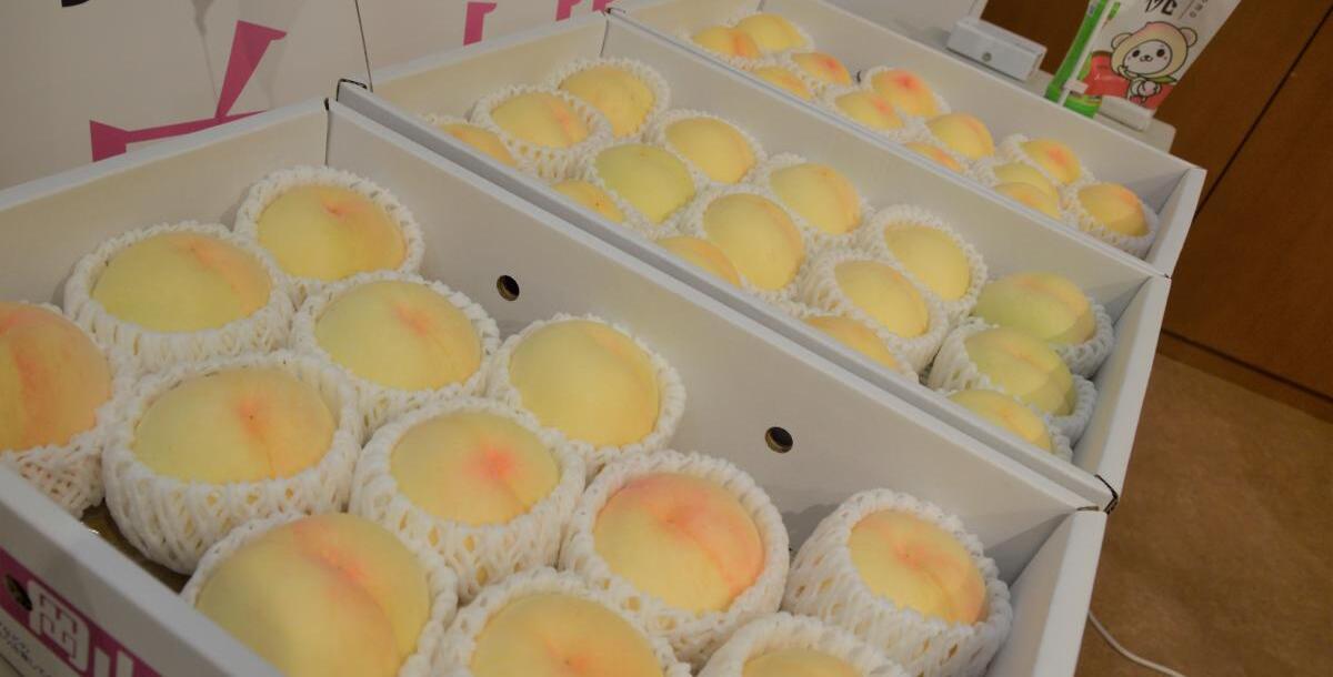 【おかやま応援隊】新宿高野で白桃PR
