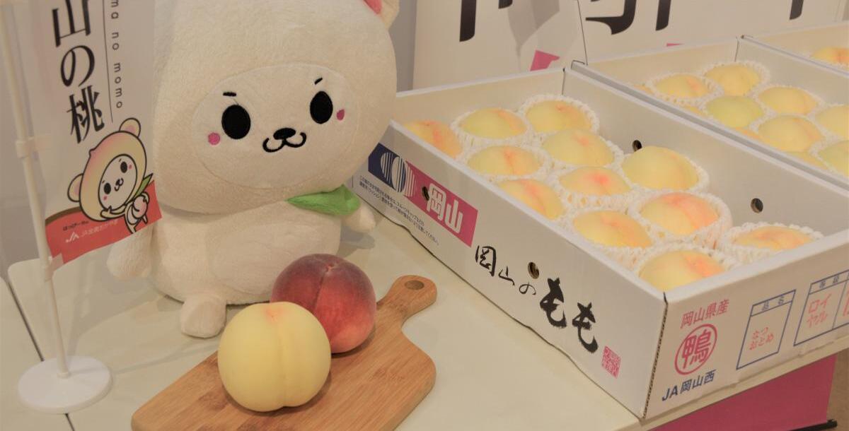 【おかやま応援隊】伊勢丹新宿で白桃&ブドウPRの…
