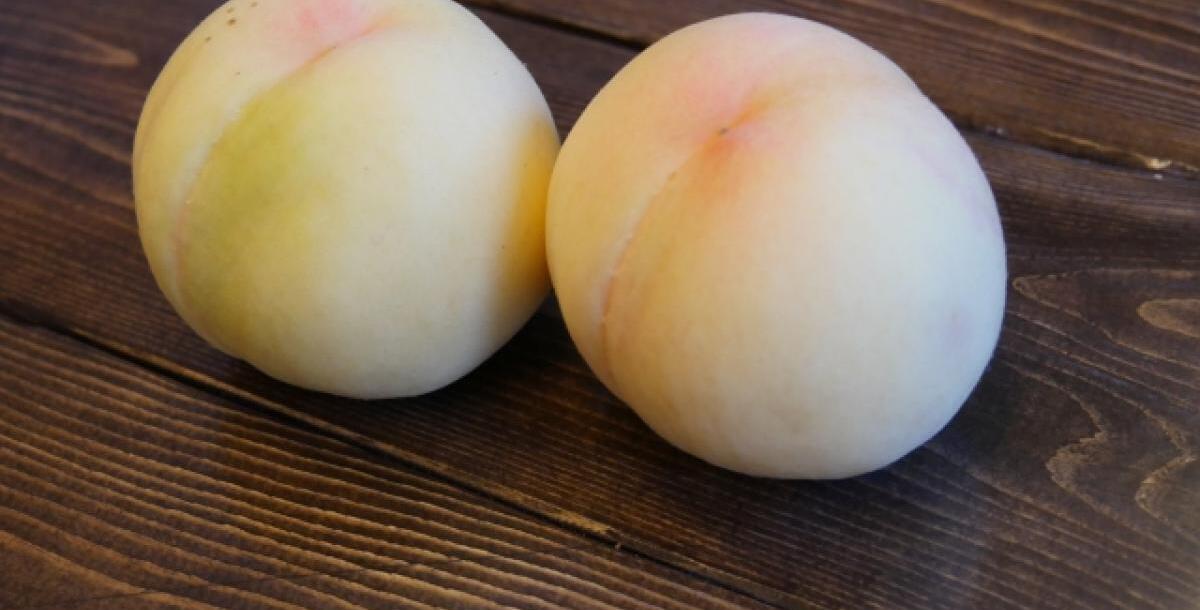 【おかやま応援隊】とっとり・おかやま新橋館で白桃…