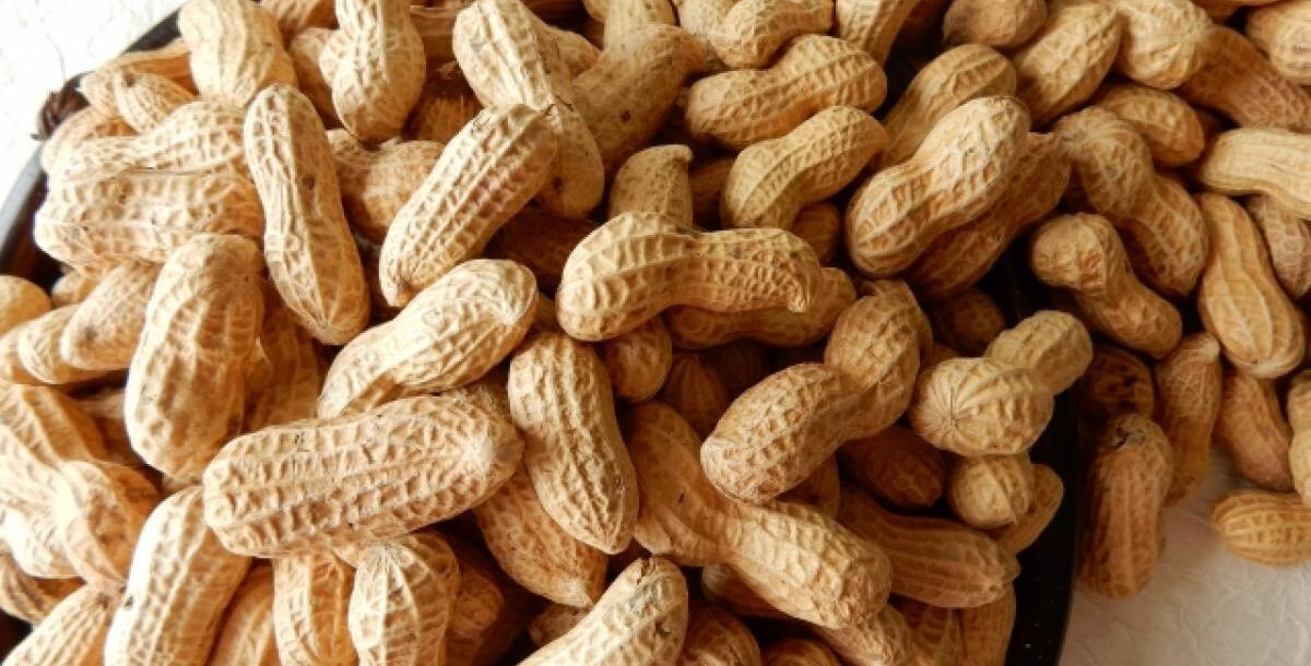 【食育マルシェ】健康経営実施企業さまで食育マルシ…