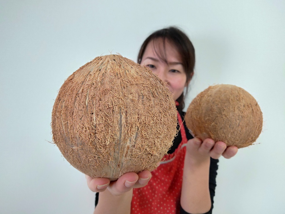 ココナッツの実にストローをさす飲み方に挑戦!ココナッツミルクとオイルも作ってみた