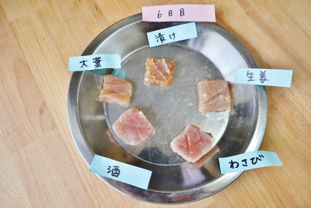マグロ刺身を長持ちさせるには?!保存方法を実験してみた