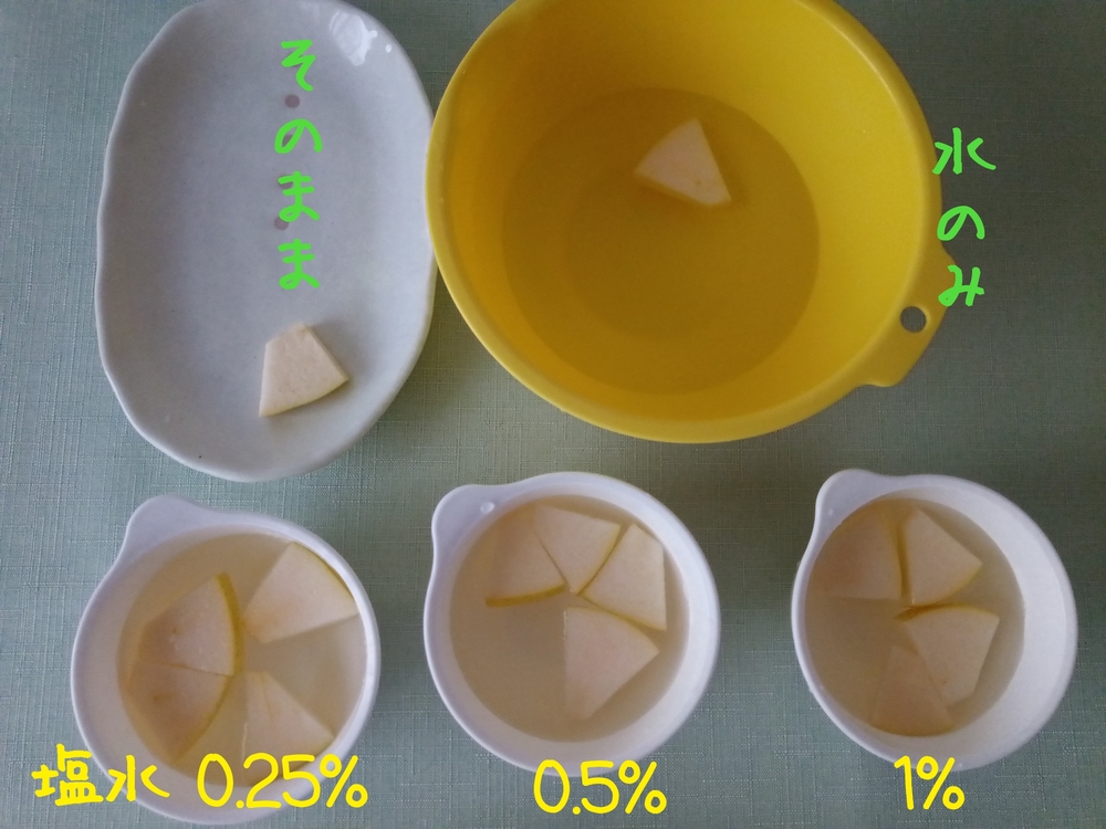 リンゴの変色を防ぐには 塩分濃度や漬ける時間を比べてみた フードメッセンジャー 豊岡 加奈子 食オタmagazine 食のオタクによる食のオタクのためのマガジン 食オタマガジン