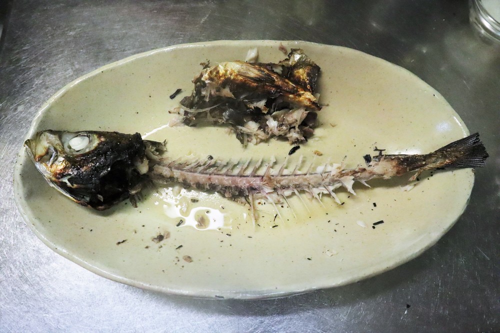 子どもに魚を食べてもらいたい 焼き魚 をキレイに食べる方法とコツを検証 フードメッセンジャー 糸井 朱里 食オタmagazine 食のオタクによる食のオタクのためのマガジン 食オタマガジン
