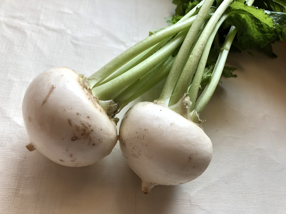 いろんな野菜 果物でジャックオーランタン カボチャおばけ 作りに挑戦 フードメッセンジャー 加野 有美 食オタmagazine 食のオタクによる食のオタクのためのマガジン 食オタマガジン