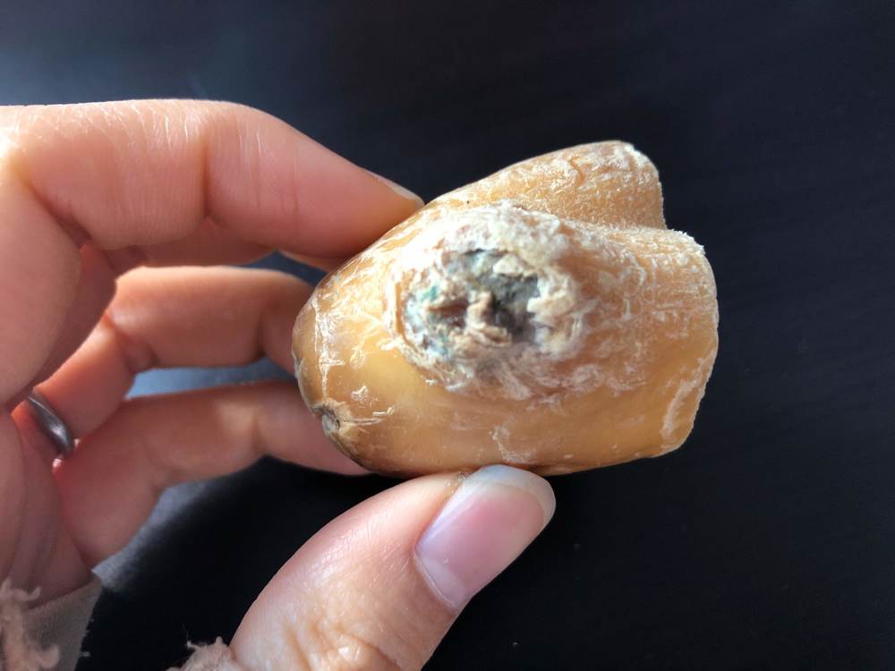 生姜のベストな保存方法は?!温度・湿度から長持ちする方法を検証してみた