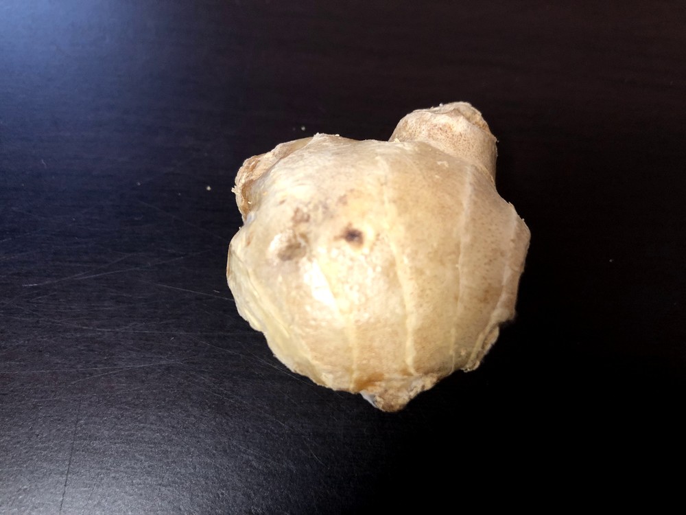 生姜のベストな保存方法は?!温度・湿度から長持ちする方法を検証してみた