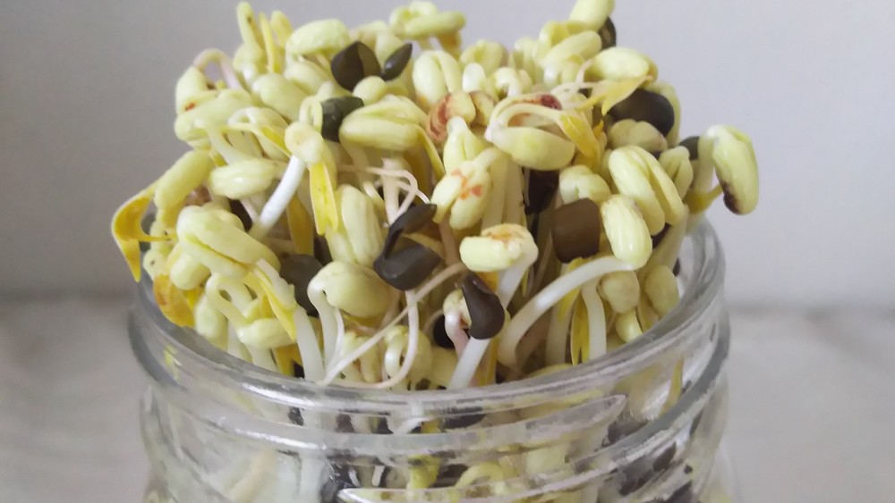 19年夏休み自由研究 かんたん実験 ネタ一覧まとめ 家庭で1日でできる食育テーマ 食オタmagazine 食のオタクによる食のオタクのためのマガジン 食オタマガジン