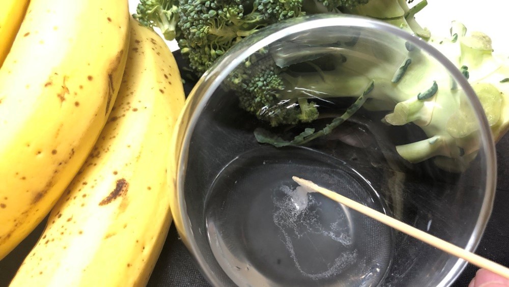 19年夏休み自由研究 かんたん実験 ネタ一覧まとめ 家庭で1日でできる食育テーマ 食オタmagazine 食のオタクによる食のオタクのためのマガジン 食オタマガジン