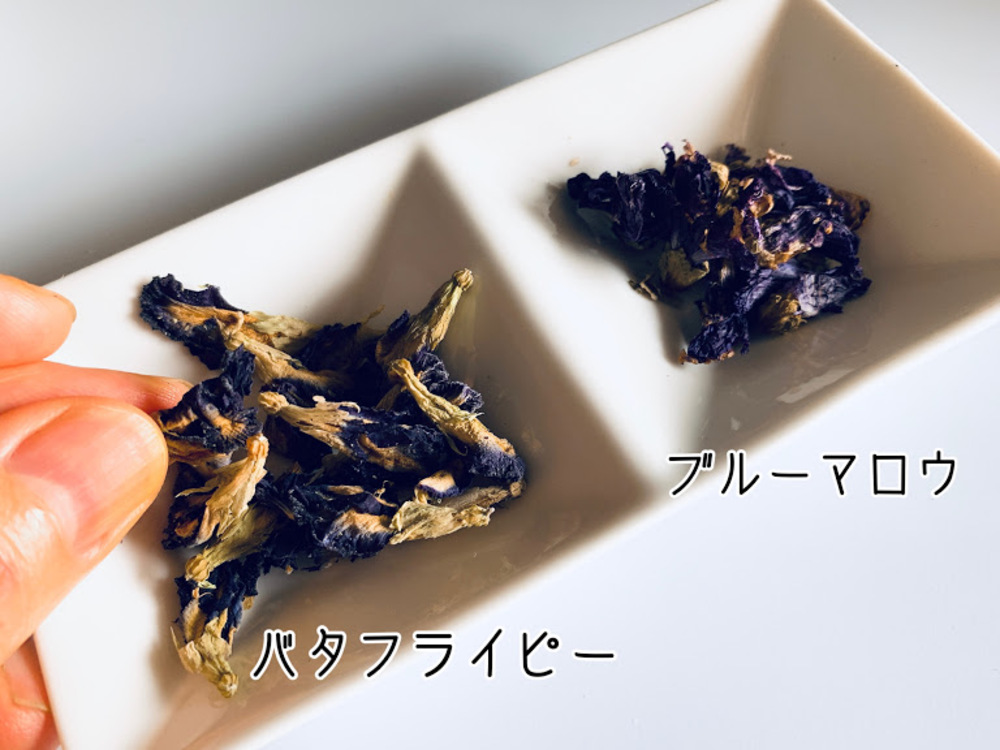夏休み自由研究 紫キャベツの色素アントシアニンで野菜の色実験をしよう ガジェット通信 Getnews