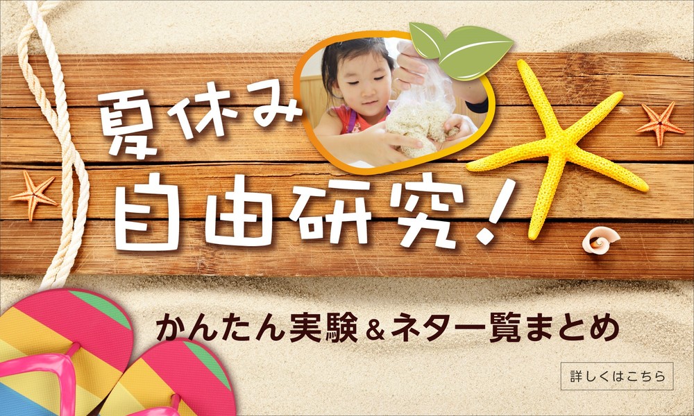 野菜で紙を作ってみよう フードメッセンジャー 佐藤 智子 食オタmagazine 食のオタクによる食のオタクのためのマガジン 食オタマガジン