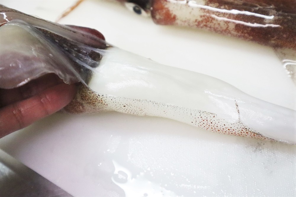 イカは冷凍保存ができる食材!冷凍&解凍方法を調査してみた