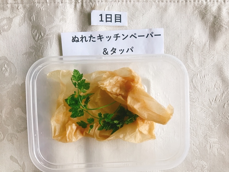 パーティにぴったり!エディブルフラワー&ハーブの上手な保存方法はコレ!3週間保存実験