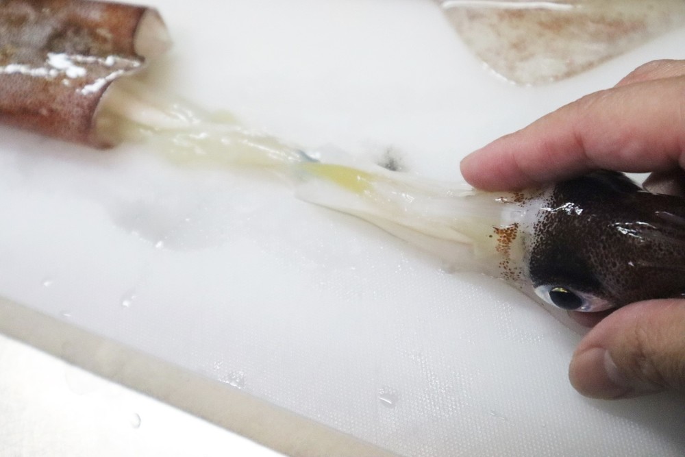 イカは冷凍保存ができる食材!冷凍&解凍方法を調査してみた
