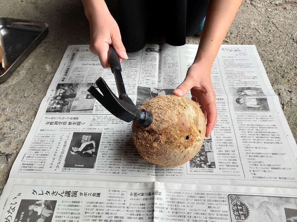 ココナッツの実にストローをさす飲み方に挑戦!ココナッツミルクとオイルも作ってみた