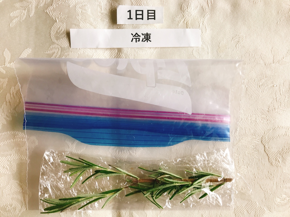 パーティにぴったり!エディブルフラワー&ハーブの上手な保存方法はコレ!3週間保存実験