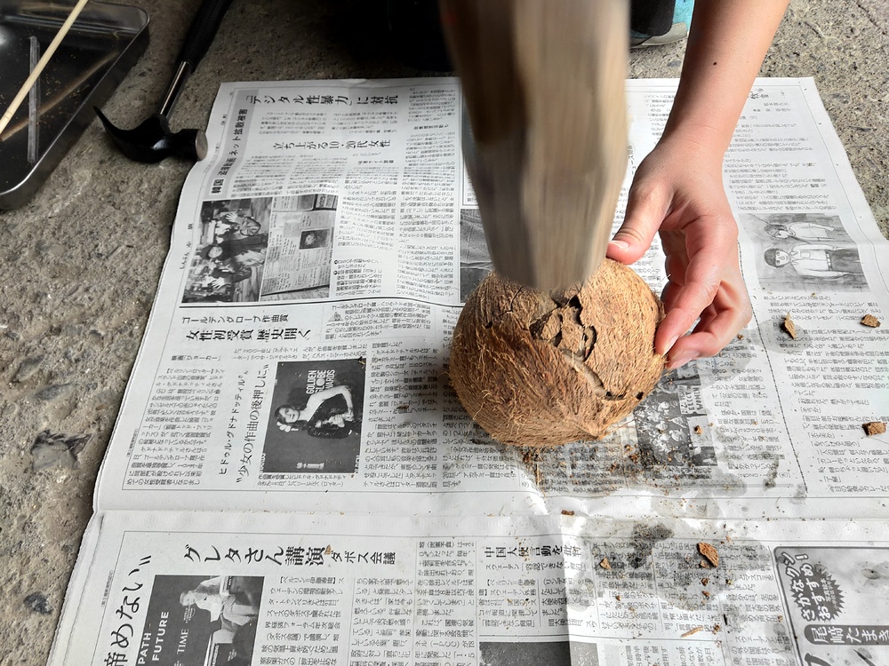 ココナッツの実にストローをさす飲み方に挑戦!ココナッツミルクとオイルも作ってみた
